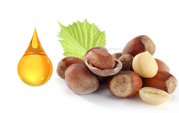 hazelnut oil uses & benefits