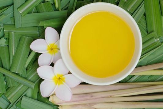 citronella oil uses and benefits