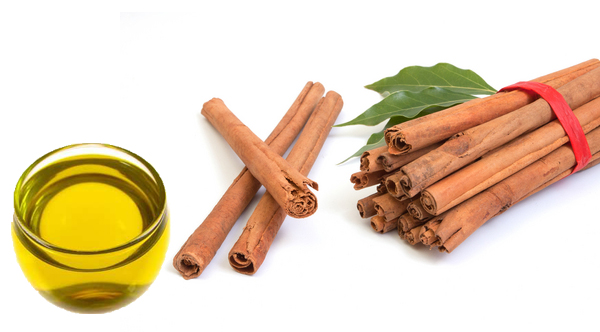 cinnamon leaf oil uses