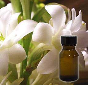 We provide pure Tuberose oil online at great prices