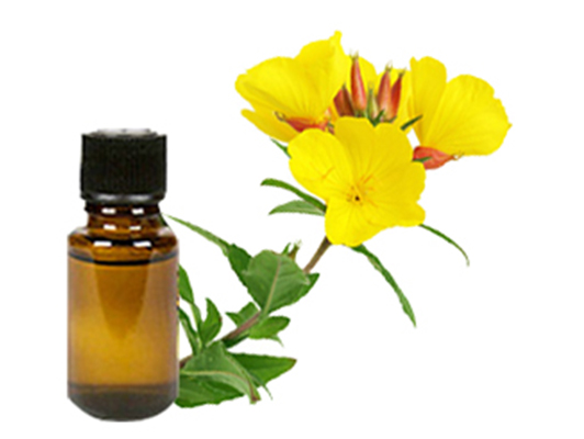 evening primrose oil