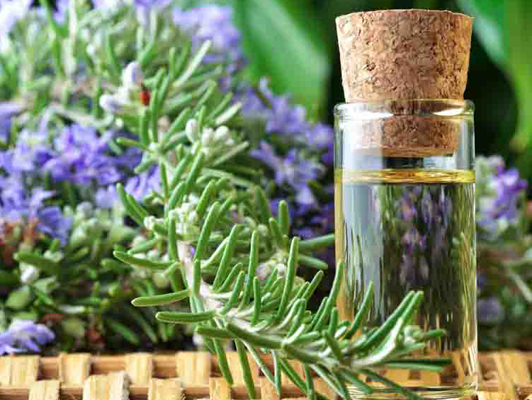 rosemary oil uses and benefits