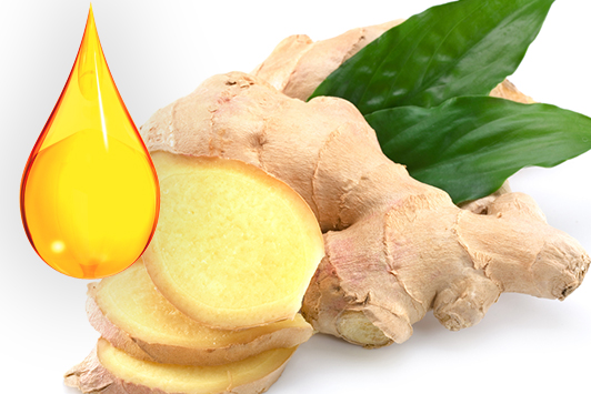 ginger oil uses and benefits